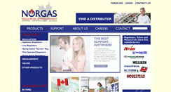 Desktop Screenshot of norgascontrols.com