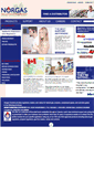 Mobile Screenshot of norgascontrols.com